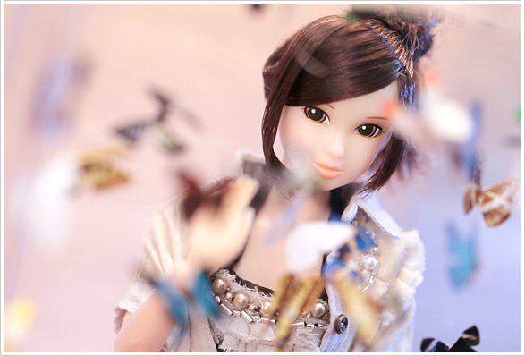 PW-momoko ae <SILVER BUTTERFLY> Life Still Life
